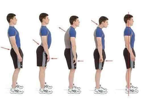 Magnetic therapy back support brace