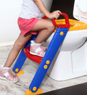 Potty training seat with a step stool ladder.