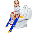 Potty training seat with a step stool ladder.
