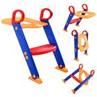 Potty training seat with a step stool ladder.