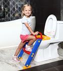 Potty training seat with a step stool ladder.