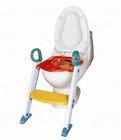 Potty training seat with a step stool ladder.