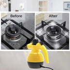 handheld multifunctional steam cleaner and sterilizer